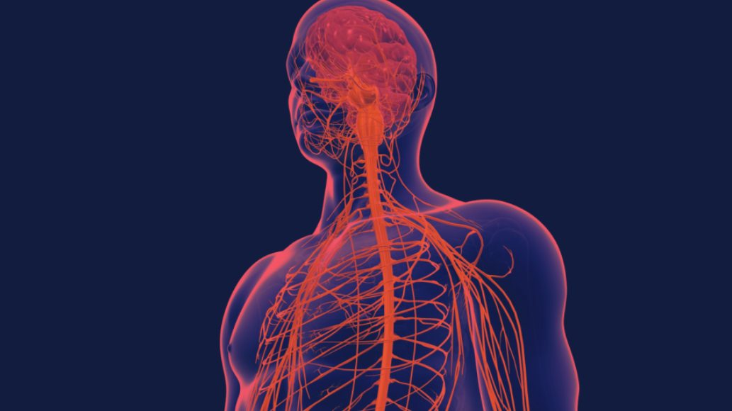 Red Light Therapy for Parkinson's Disease 